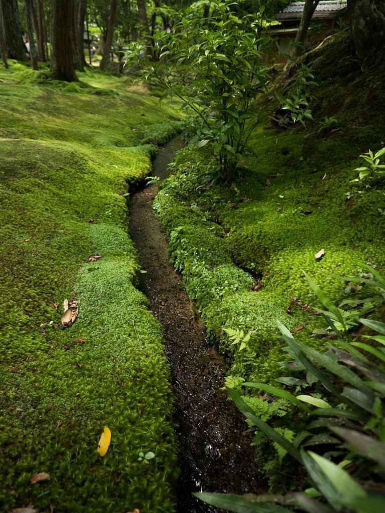 Cool stream at Kokedera