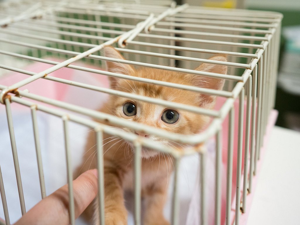 Please bring me home with you!