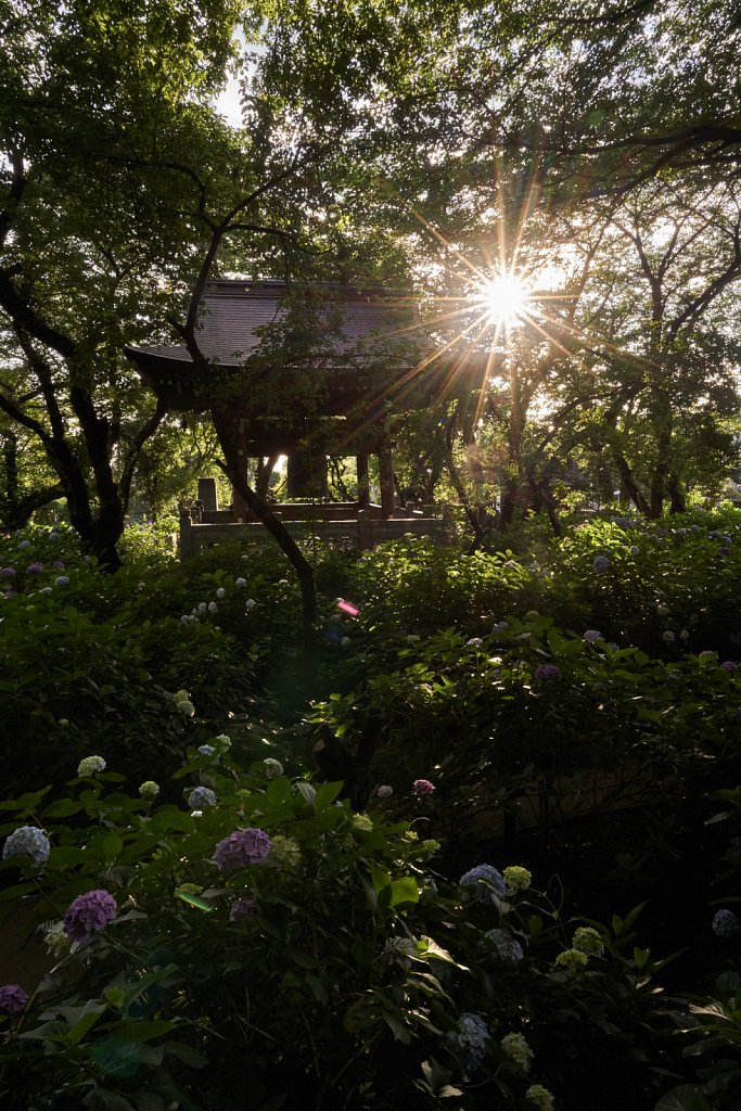Morning sun over the morning bell